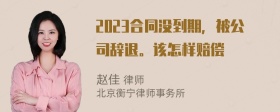 2023合同没到期，被公司辞退。该怎样赔偿