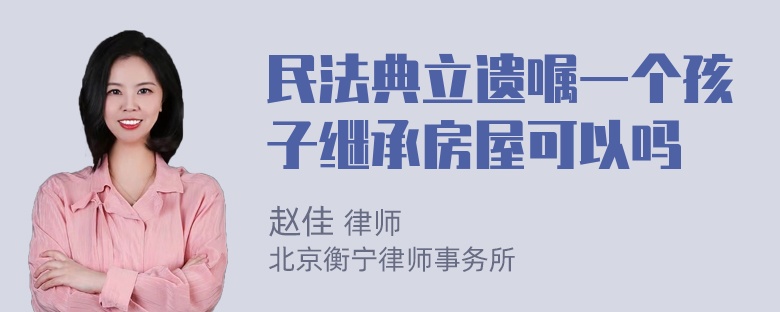 民法典立遗嘱一个孩子继承房屋可以吗