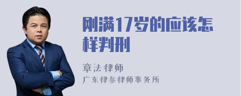 刚满17岁的应该怎样判刑