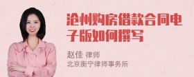 沧州购房借款合同电子版如何撰写
