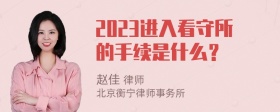 2023进入看守所的手续是什么？
