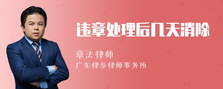 违章处理后几天消除