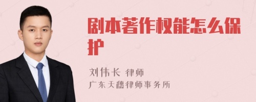 剧本著作权能怎么保护