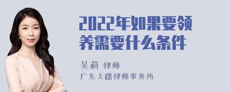 2022年如果要领养需要什么条件