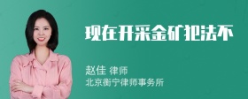 现在开采金矿犯法不