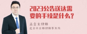 2023公告送达需要的手续是什么？