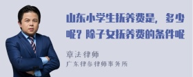 山东小学生抚养费是，多少呢？除子女抚养费的条件呢