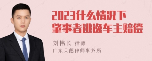 2023什么情况下肇事者逃逸车主赔偿