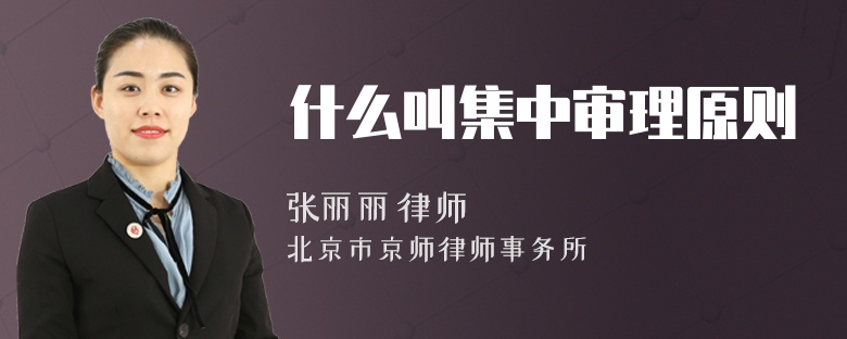什么叫集中审理原则