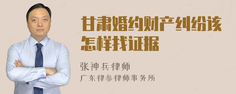 甘肃婚约财产纠纷该怎样找证据