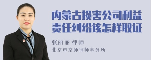 内蒙古损害公司利益责任纠纷该怎样取证