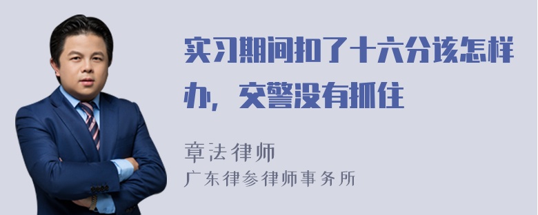 实习期间扣了十六分该怎样办，交警没有抓住