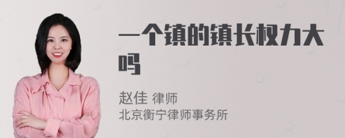 一个镇的镇长权力大吗
