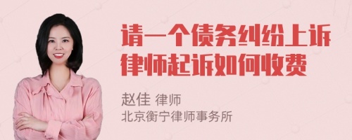 请一个债务纠纷上诉律师起诉如何收费