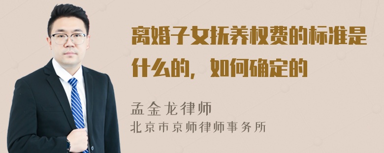 离婚子女抚养权费的标准是什么的，如何确定的