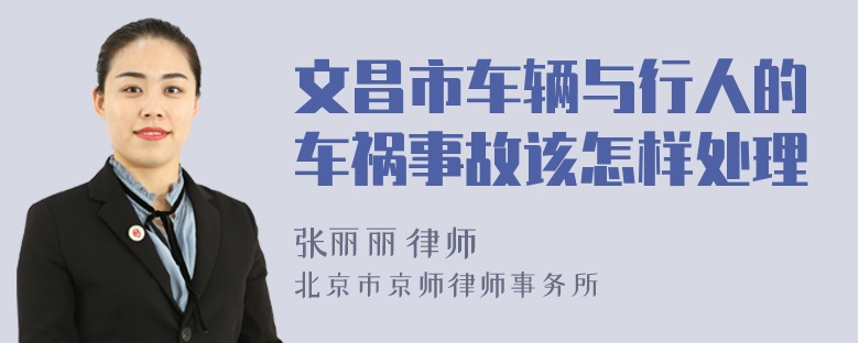 文昌市车辆与行人的车祸事故该怎样处理