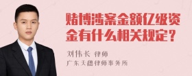 赌博涉案金额亿级资金有什么相关规定？