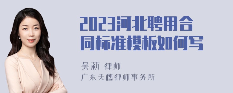 2023河北聘用合同标准模板如何写