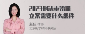 2023刑法重婚罪立案需要什么条件