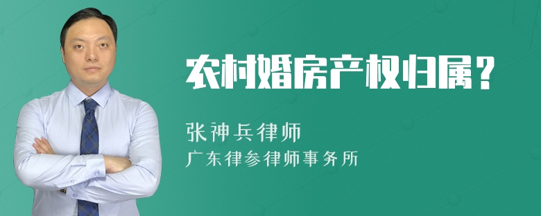 农村婚房产权归属？