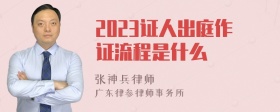 2023证人出庭作证流程是什么