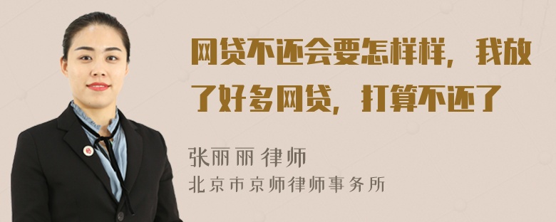 网贷不还会要怎样样，我放了好多网贷，打算不还了
