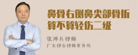 鼻骨右侧鼻尖部骨折算不算轻伤二级