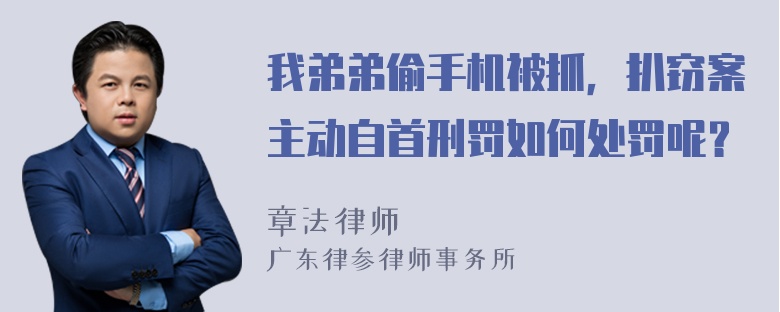 我弟弟偷手机被抓，扒窃案主动自首刑罚如何处罚呢？