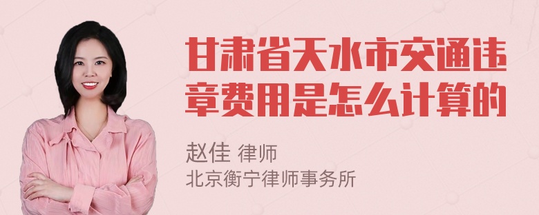 甘肃省天水市交通违章费用是怎么计算的
