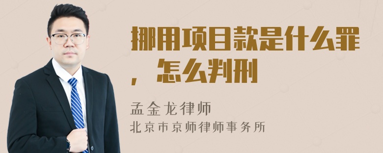 挪用项目款是什么罪，怎么判刑