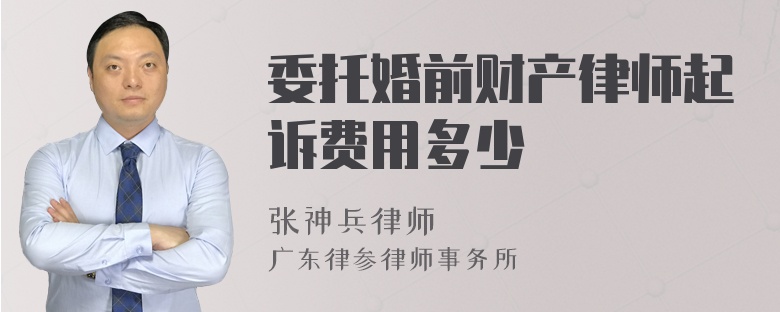 委托婚前财产律师起诉费用多少
