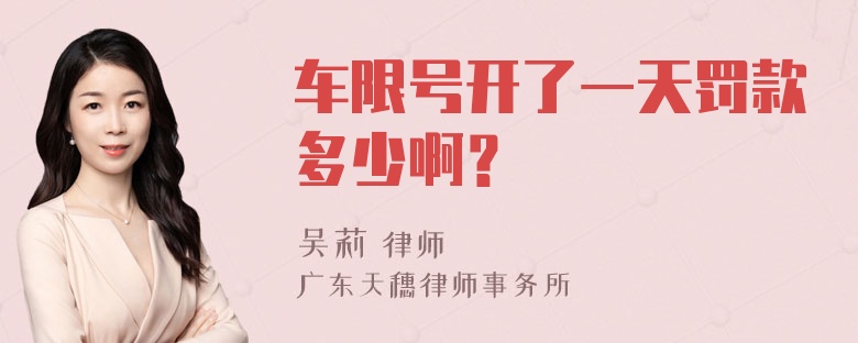 车限号开了一天罚款多少啊？
