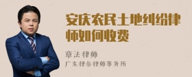 安庆农民土地纠纷律师如何收费