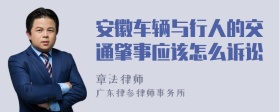 安徽车辆与行人的交通肇事应该怎么诉讼