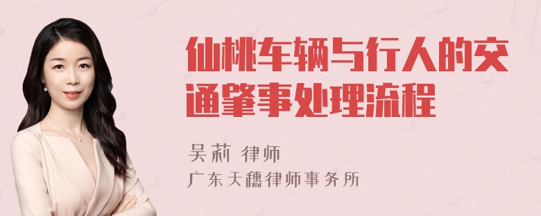 仙桃车辆与行人的交通肇事处理流程