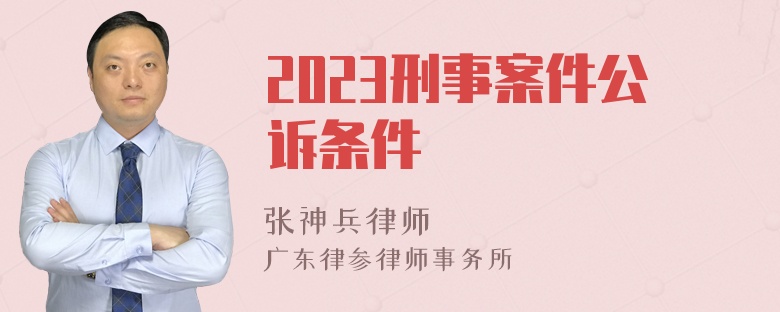 2023刑事案件公诉条件