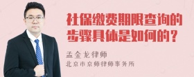 社保缴费期限查询的步骤具体是如何的？