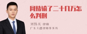 网赌输了二十几万怎么判刑