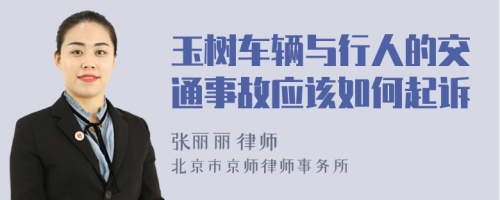 玉树车辆与行人的交通事故应该如何起诉