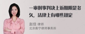 一审刑事判决上诉期限是多久，法律上有哪些规定