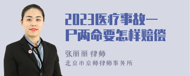 2023医疗事故一尸两命要怎样赔偿