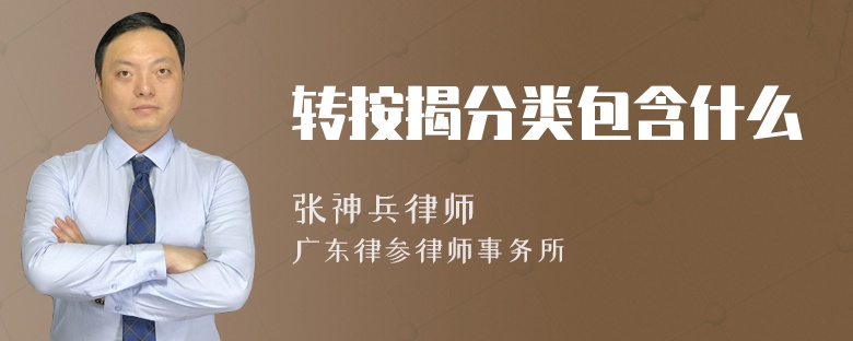 转按揭分类包含什么