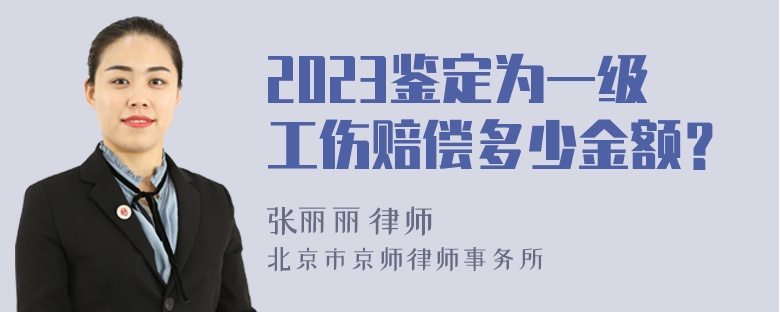 2023鉴定为一级工伤赔偿多少金额？