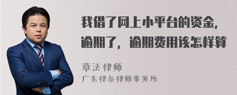 我借了网上小平台的资金，逾期了，逾期费用该怎样算