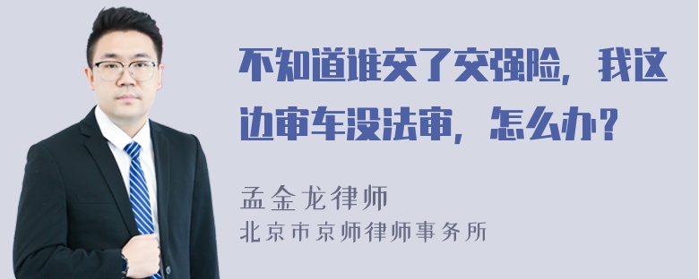 不知道谁交了交强险，我这边审车没法审，怎么办？