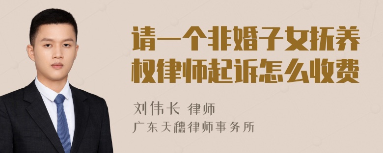 请一个非婚子女抚养权律师起诉怎么收费