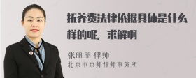 抚养费法律依据具体是什么样的呢，求解啊