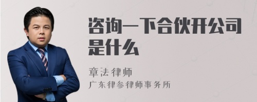 咨询一下合伙开公司是什么