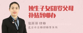 独生子女60岁父母补贴到哪办