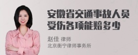 安徽省交通事故人员受伤各项能赔多少